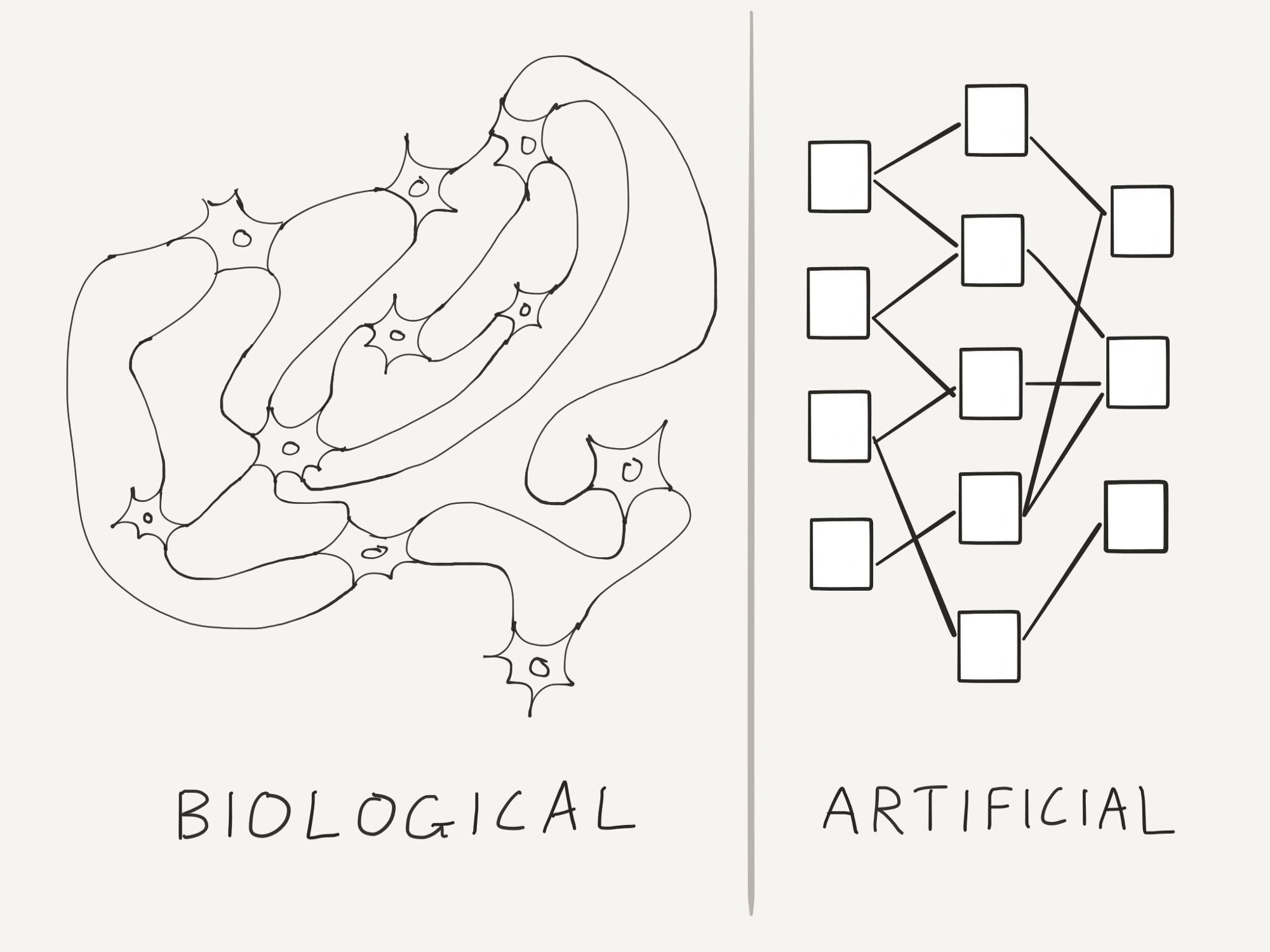 Classification